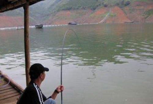 中鱼后怎么正确溜鱼_WWW.YUJUCEPING.COM