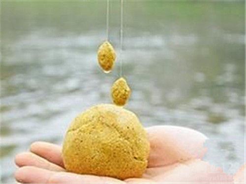 夏天钓鱼掌握用饵的技巧_WWW.YUJUCEPING.COM