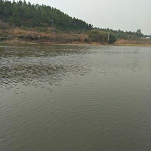 夏天大雨之后怎么选择钓点_WWW.YUJUCEPING.COM