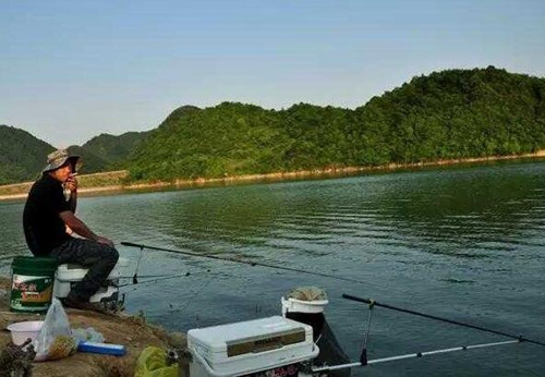 诱鱼有什么技巧_WWW.YUJUCEPING.COM