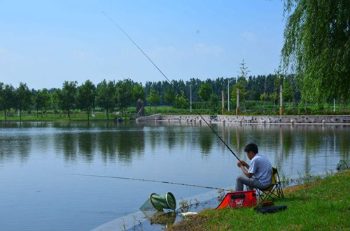 夏天钓鱼怎么提高鱼获_WWW.YUJUCEPING.COM