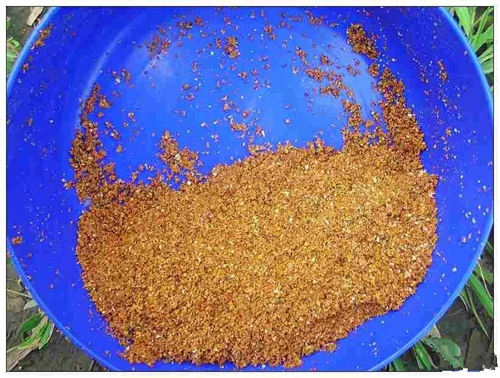 钓鱼人自制马铃薯玉米粒麦粒鱼饵配方_WWW.YUJUCEPING.COM