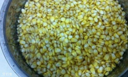 夏天钓草鱼怎么选用饵料_WWW.YUJUCEPING.COM