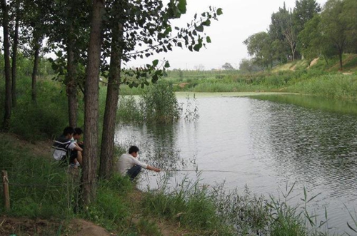 钓鱼时应该怎么钓草_WWW.YUJUCEPING.COM