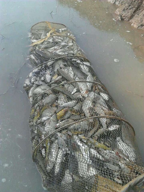 钓鱼爆护技巧_WWW.YUJUCEPING.COM