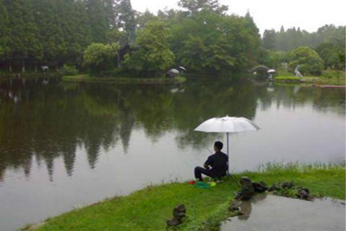看天气钓鲤鱼的技巧_WWW.YUJUCEPING.COM