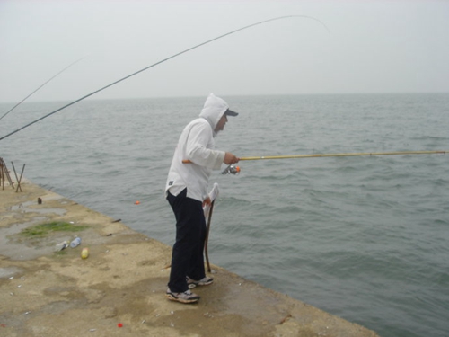 海钓鲅鱼的最佳时间_WWW.YUJUCEPING.COM