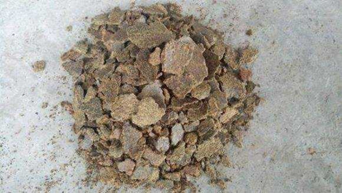 夏天钓鱼诱鱼比较好的几种窝料_WWW.YUJUCEPING.COM