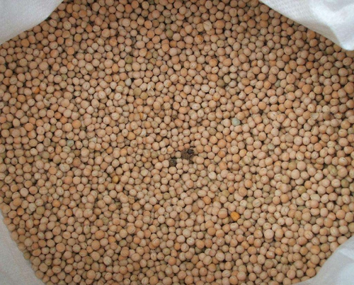 夏天钓鱼诱鱼比较好的几种窝料_WWW.YUJUCEPING.COM