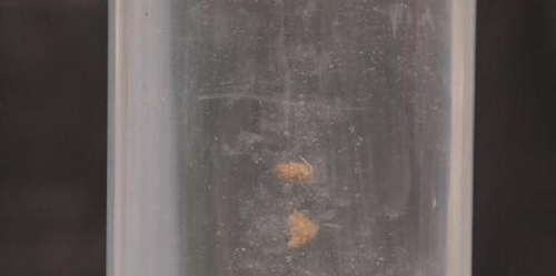 怎么正确掌握开搓饵_WWW.YUJUCEPING.COM