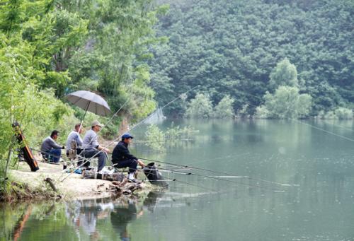 立漂双钩应该怎么调漂_WWW.YUJUCEPING.COM