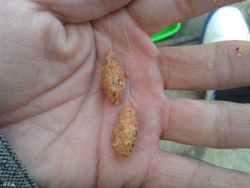 新手在夏天钓鱼的几个小技巧_WWW.YUJUCEPING.COM