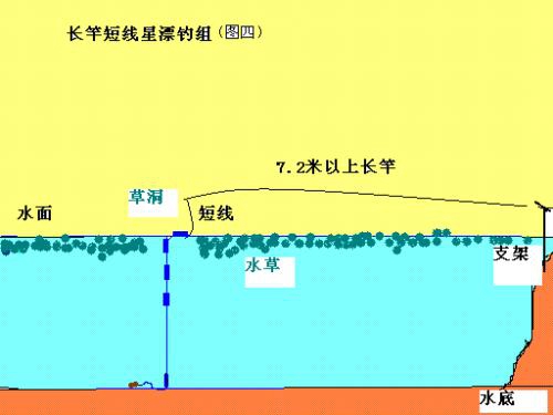 台钓和传统钓漂相的差异_WWW.YUJUCEPING.COM