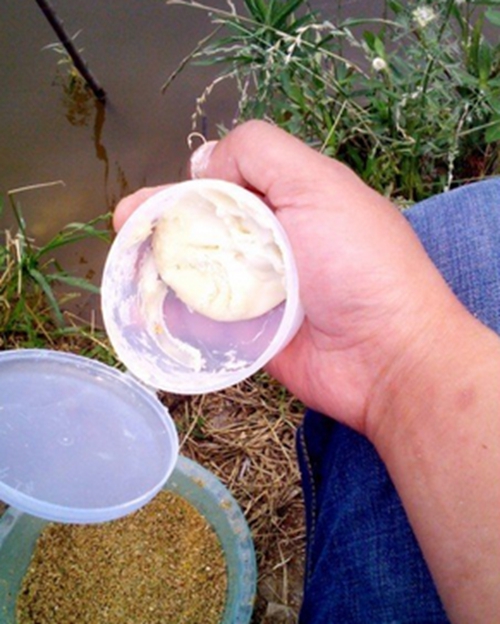 包食钓法的使用方法_WWW.YUJUCEPING.COM