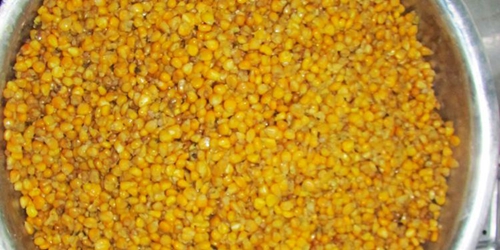 夏天野钓选择正确的饵料很重要_WWW.YUJUCEPING.COM