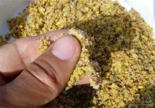 夏天野钓选择正确的饵料很重要_WWW.YUJUCEPING.COM
