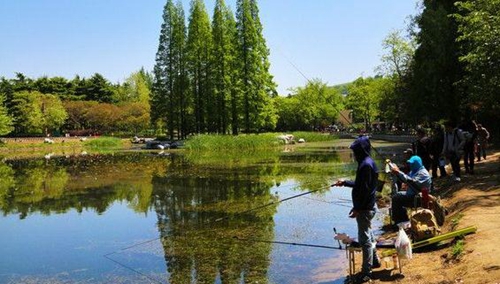 应该根据哪些因素选择钓位_WWW.YUJUCEPING.COM