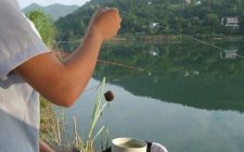 包食钓法的特点