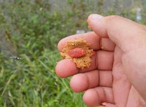 包食钓法的特点_WWW.YUJUCEPING.COM