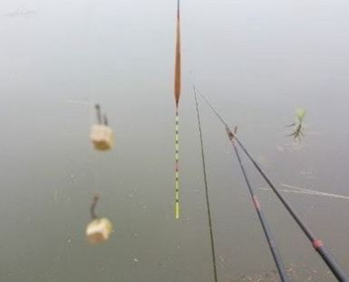 浮漂有哪些不同的调法_WWW.YUJUCEPING.COM
