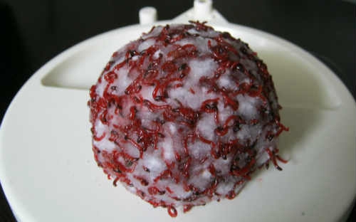 红虫做钓饵装钩的方法_WWW.YUJUCEPING.COM