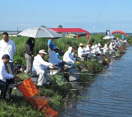 竞技钓鲫鱼怎么使用腥饵_WWW.YUJUCEPING.COM