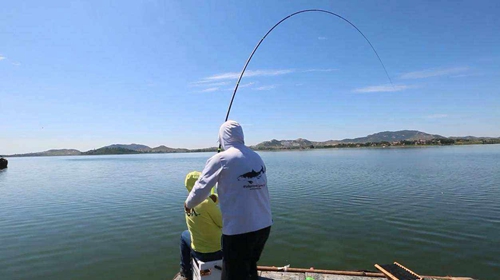 夏天水库钓鱼怎么才能钓的好_WWW.YUJUCEPING.COM