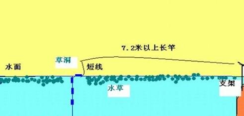 夏天在草洞野钓鲫鱼有哪些技巧_WWW.YUJUCEPING.COM