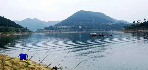 筏钓需要哪些钓组_WWW.YUJUCEPING.COM