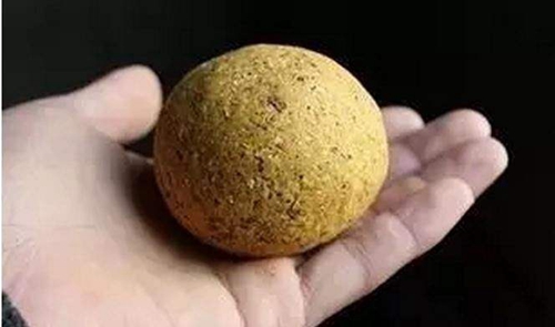 夏天钓鱼停口怎么应变_WWW.YUJUCEPING.COM