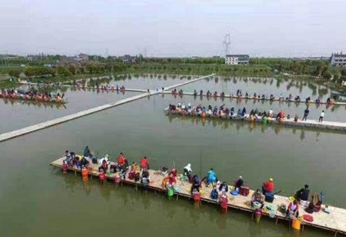 黑坑中应该怎么抢鱼_WWW.YUJUCEPING.COM