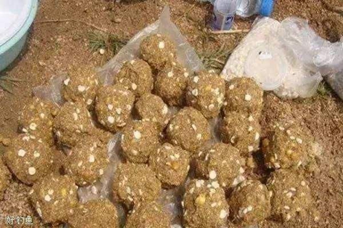 盛夏水库钓鳊鱼的注意事项_WWW.YUJUCEPING.COM