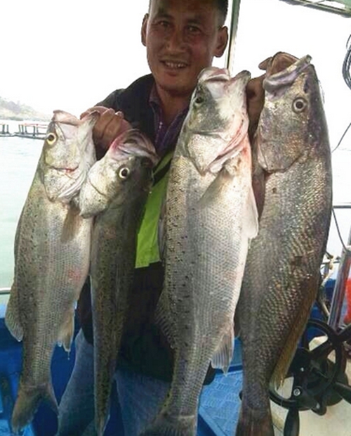 拉流钓法使用技巧_WWW.YUJUCEPING.COM