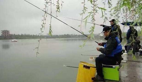 在黑坑钓鱼时应该怎么搭配钓具_WWW.YUJUCEPING.COM