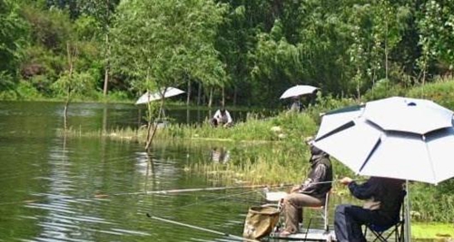 在自然水域钓鱼有哪些技巧_WWW.YUJUCEPING.COM