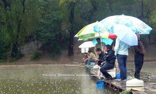 不同的雨量应该怎么钓鱼_WWW.YUJUCEPING.COM