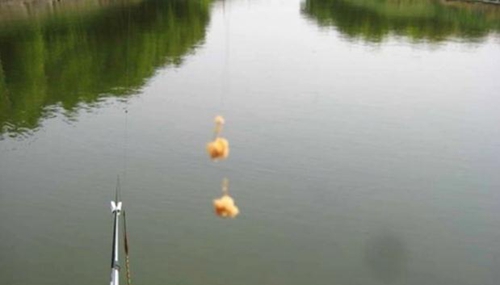 夏天钓鱼要注重哪些方面_WWW.YUJUCEPING.COM