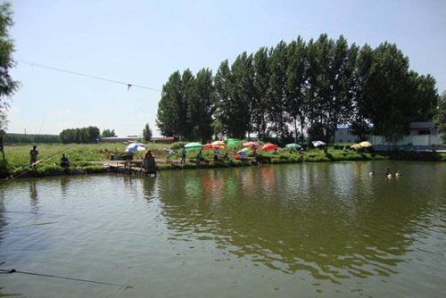 夏天钓鱼怎么找准鱼窝_WWW.YUJUCEPING.COM