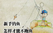 跑鱼的原因有哪些