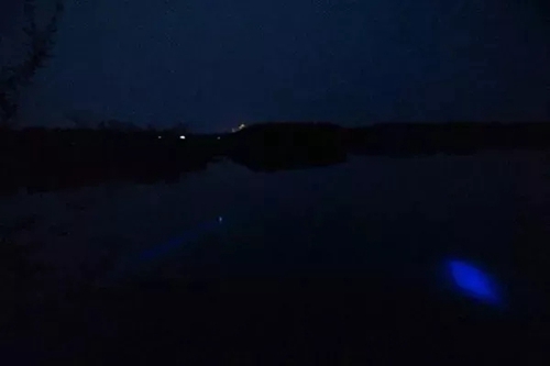 哪些时段是上鱼高峰期_WWW.YUJUCEPING.COM