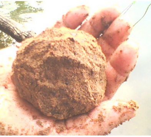 水库阴天台钓鲫鱼的技巧_WWW.YUJUCEPING.COM