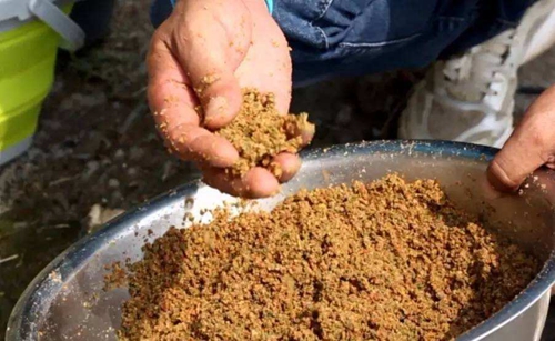 诱饵有哪些常见种类_WWW.YUJUCEPING.COM