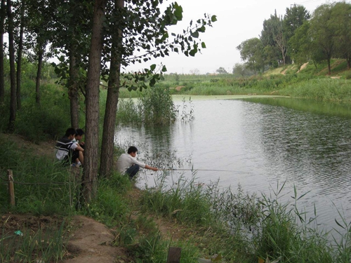 夏天水库野钓大鲢鳙的小技巧_WWW.YUJUCEPING.COM