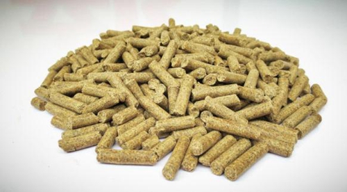 颗粒饵料有哪些常见的种类_WWW.YUJUCEPING.COM