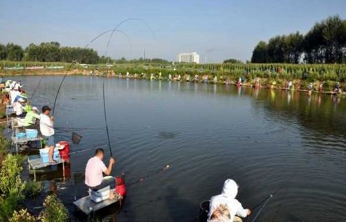夏天需要什么技巧才能钓大草鱼_WWW.YUJUCEPING.COM