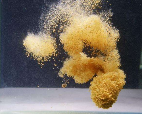 æ¹¿åœ°é‡Žé’“é²¤é±¼çš„ç”¨é¥µæŠ€å·§_WWW.YUJUCEPING.COM