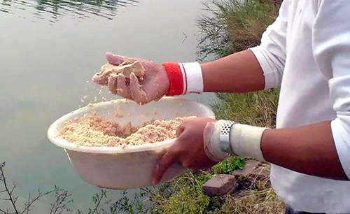 在水库钓鱼时应该怎么开饵和打窝_WWW.YUJUCEPING.COM