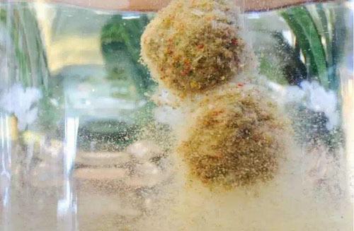 钓鱼鲤鱼时应该怎么运用黑坑的散炮饵_WWW.YUJUCEPING.COM