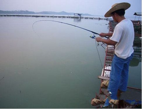 夏天钓鱼应该怎么提高鱼获_WWW.YUJUCEPING.COM