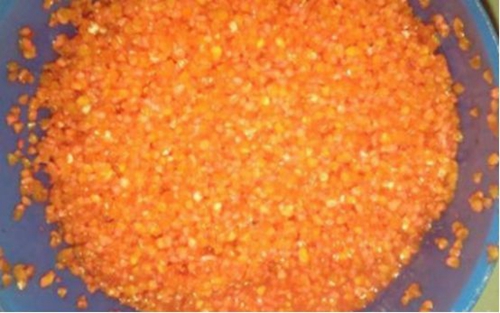 怎么做窝才能钓获大体型鱼_WWW.YUJUCEPING.COM